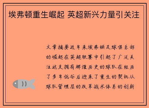 埃弗顿重生崛起 英超新兴力量引关注